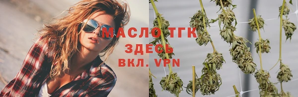 гидра Богородск