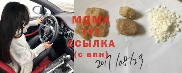 гидра Богородск