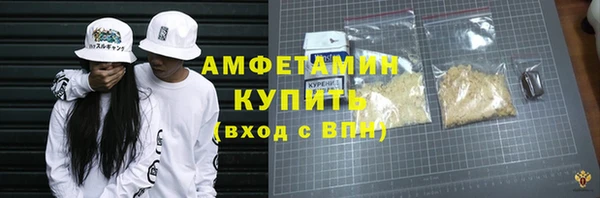 гидра Богородск