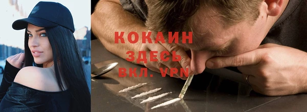 прущие крисы Богданович