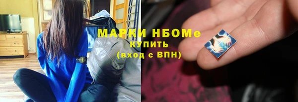гидра Богородск