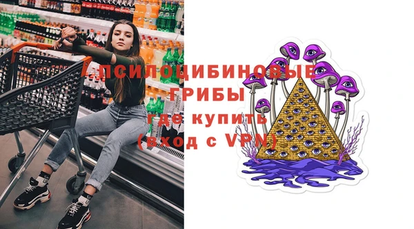 прущие крисы Богданович