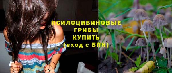 прущие крисы Богданович