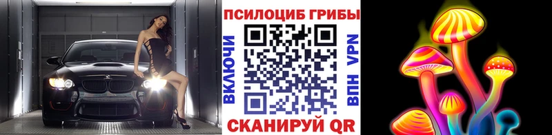 Псилоцибиновые грибы мухоморы  Шелехов 